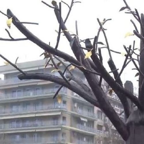 Θεσσαλονίκη – Σε κλίμα συγκίνησης και παρουσία συγγενών τα αποκαλυπτήρια του “Δέντρου της Μνήμης” για τα θύματα των Τεμπών