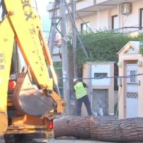 Δέντρο 15 μέτρων γκρέμισε κολώνα της ΔΕΗ – Έσπασε τη νύχτα και βύθισε τη γειτονιά στο σκοτάδι!