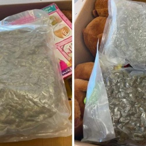Εντοπίστηκαν ποσότητες κάνναβης και κοκαΐνης μέσα σε κούτες με παιδικά παιχνίδια – Συνελήφθη 21χρονος (BINTEO)