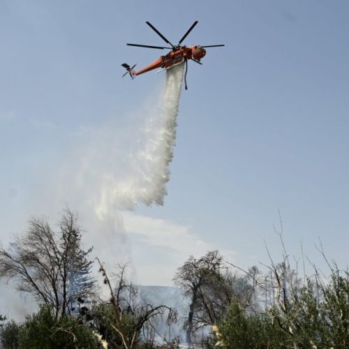 Πυρκαγιά σε αγροτοδασική έκταση στην Εύβοια