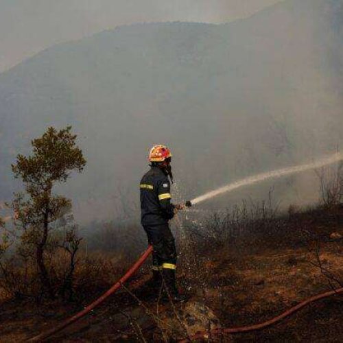 Νεκρός πυροσβέστης που επιχειρούσε σε φωτιά στον Αγερανό Γυθείου
