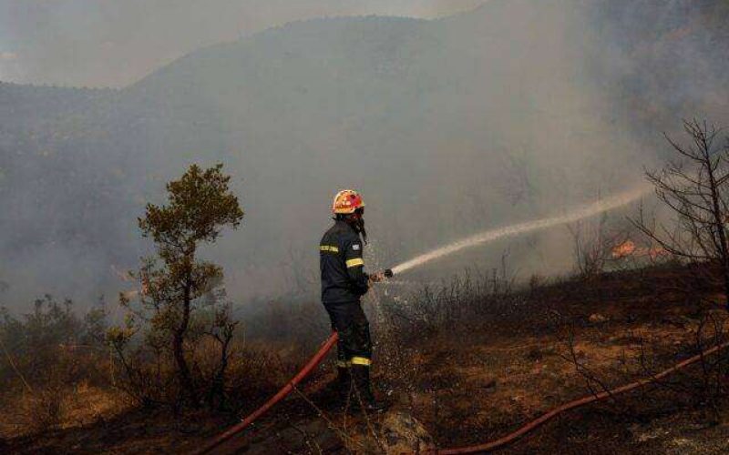 Φωτιές σε δασική έκταση στην Ευρυτανία
