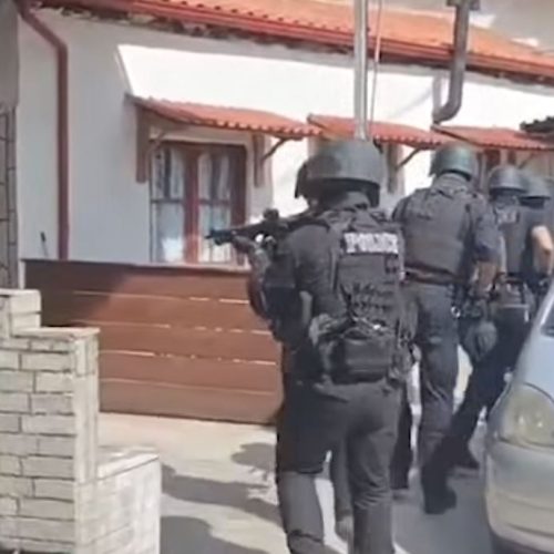 Παράνομη υλοτομία στη Βόλβη – Το βίντεο με τη σύλληψη του 62χρονου