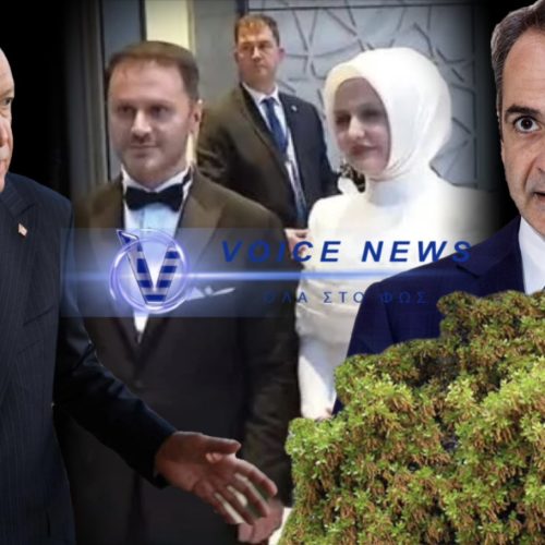 ΟΛΗ Η ΑΛΗΘΕΙΑ ΓΙΑ ΤΟ «ΦΤΥΣΙΜΟ» ΕΡΝΤΟΓΑΝ ΣΕ ΜΗΤΣΟΤΑΚΗ! ΑΦΗΣΕ ΤΑ «ΠΟΥΡΝΑΡΙΑ» ΚΑΙ ΠΗΓΕ ΣΤΟ ΓΑΜΟ!!!