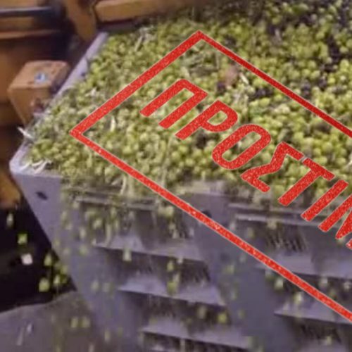Όσοι έχουν ελιές κινδυνεύουν με πρόστιμα… Νέο «ψηφιακό χαράτσι»