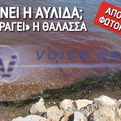 (ΑΠΟΚΛΕΙΣΤΙΚΕΣ ΦΩΤΟ) «ΜΑΤΩΜΕΝΗ» ΘΑΛΑΣΣΑ ΣΤΗΝ ΑΥΛΙΔΑ! ΠΕΡΙΒΑΛΛΟΝΤΙΚΗ ΒΟΜΒΑ ΚΑΙ ΔΕΝ ΜΙΛΑ ΚΑΝΕΙΣ!