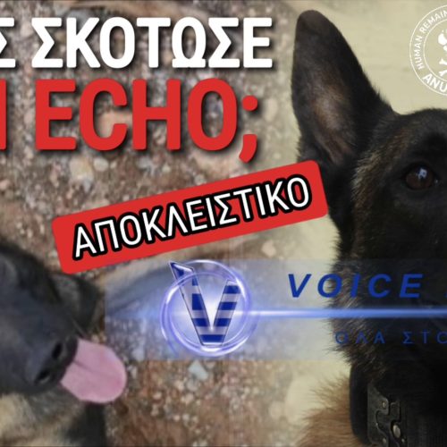 «ΣΥΜΒΟΛΑΙΟ ΘΑΝΑΤΟΥ» ΓΙΑ ΤΗΝ ANUBIS; ΠΟΙΟΣ ΣΚΟΤΩΣΕ ΤΟΝ ECHO; (ΒΙΝΤΕΟ-ΦΩΤΟ)