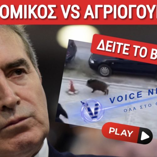 ΞΕΚΑΡΔΙΣΤΙΚΟ ΒΙΝΤΕΟ: ΜΕΤΑ ΤΟ ΕΛΛΗΝΙΚΟ «FBI» Ο ΧΡΥΣΟΧΟΙΔΗΣ ΕΦΤΙΑΞΕ ΤΗΝ ΕΙΔΙΚΗ ΟΜΑΔΑ «ΟΒΕΛΙΞ»;