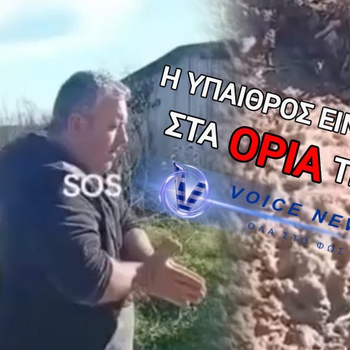 ΦΥΣΑΛΙΔΕΣ ΑΠΟ ΤΗΝ ΤΑΦΗ ΖΩΩΝ!!! ΚΑΤΑΓΓΕΛΙΑ «ΣΟΚ» ΑΠΟ ΚΤΗΝΟΤΡΟΦΟ (ΒΙΝΤΕΟ)