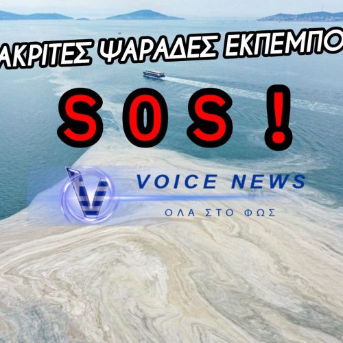 ΠΡΟΚΛΗΤΙΚΗ ΑΔΙΑΦΟΡΙΑ! Η ΚΥΒΕΡΝΗΣΗ ΑΦΗΝΕΙ ΤΟΥΣ ΨΑΡΑΔΕΣ ΝΑ ΠΕΙΝΑΣΟΥΝ ΕΞΑΙΤΙΑΣ ΤΗΣ ΤΟΥΡΚΙΑΣ