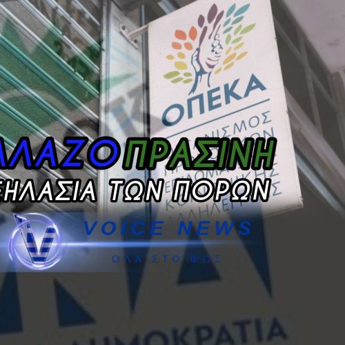 ΠΙΑΣΤΗΚΑΝ ΜΕ ΤΗ ΓΙΔΑ ΣΤΗΝ ΠΛΑΤΗ! ΕΦΑΓΑΝ ΤΑ ΛΕΦΤΑ ΤΗΣ ΠΡΟΝΟΙΑΣ ΜΕ ΠΛΑΣΤΑ ΧΑΡΤΙΑ ΚΑΙ «ΜΑΙΜΟΥ» ΕΓΚΡΙΣΕΙΣ – ΤΡΥΠΑ 1.860.000 ΕΥΡΩ!