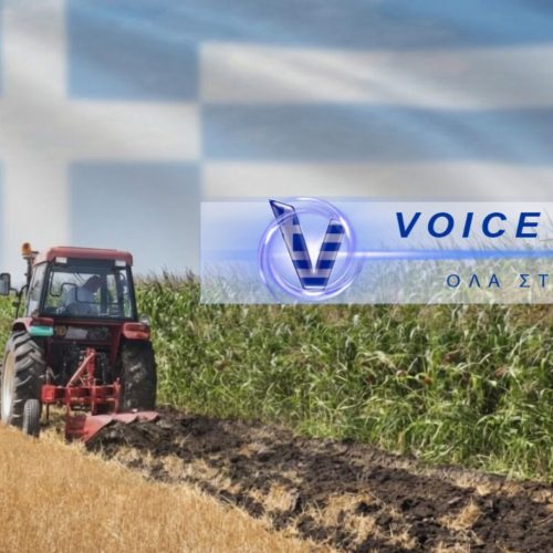 ΠΟΙΟΣ ΒΑΖΕΙ «ΘΗΛΙΑ» ΣΤΟΝ ΠΡΩΤΟΓΕΝΗ ΤΟΜΕΑ
