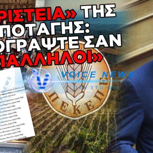 ΤΡΕΜΕΙ ΤΗΝ ΑΝΤΑΡΣΙΑ Ο ΜΗΤΣΟΤΑΚΗΣ: ΕΤΟΙΜΑ ΨΗΦΟΔΕΛΤΙΑ-ΠΙΣΤΟΛΙΑ ΓΙΑ ΤΟΝ ΟΠΕΚΕΠΕ