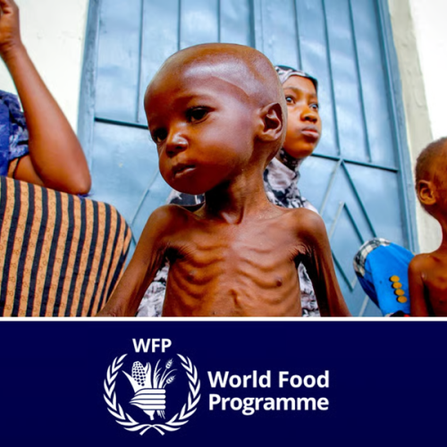 Έκκληση του WFP για επείγουσα χρηματοδότηση για τη διατήρηση της βοήθειας προς τη Σομαλία