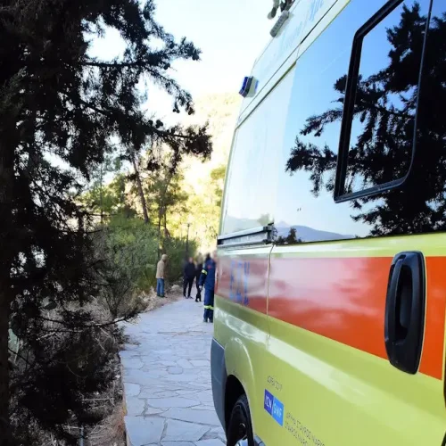 «Καμπάνα» από το δικαστήριο στην εταιρεία «Γιαννίτσης» για τα σχολικά γεύματα που έστειλαν στο νοσοκομείο παιδιά και εκπαιδευτικούς