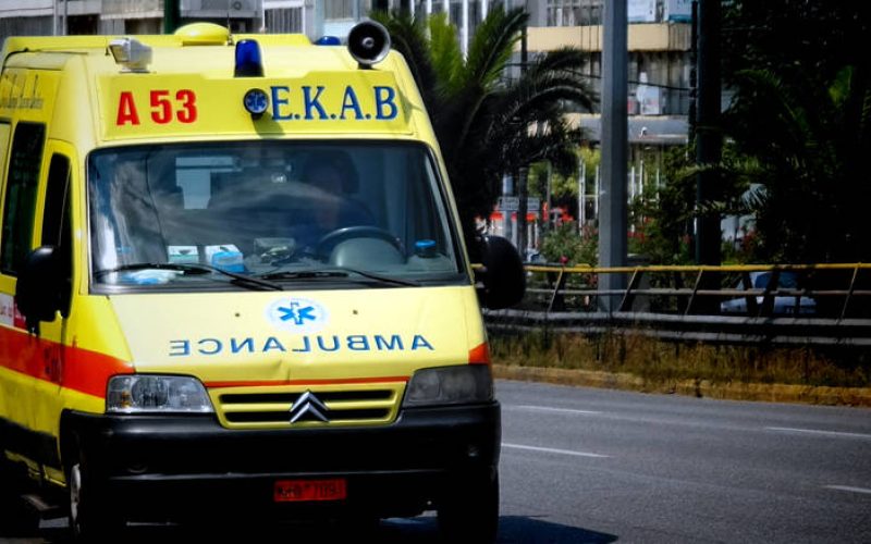 Θεσσαλονίκη: Επίθεση από αδέσποτα σκυλιά δέχθηκε 12χρονη στον Δρυμό