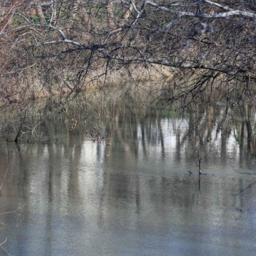 Έκτακτη επιφυλακή στη Λάρισα: Η στάθμη του Πηνειού ανεβαίνει