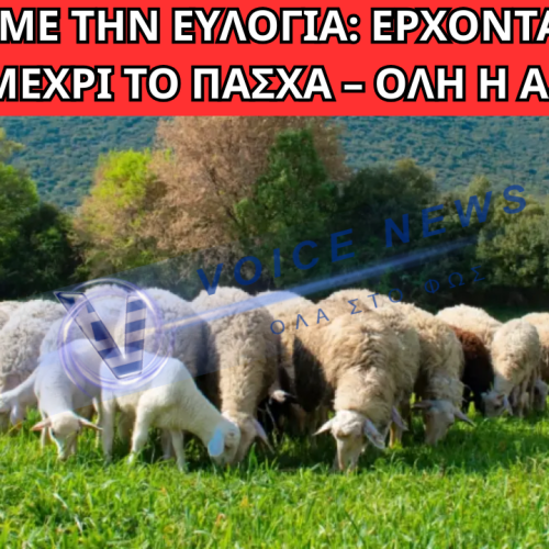ΣΟΚ ΜΕ ΤΗΝ ΕΥΛΟΓΙΑ: ΣΦΙΓΓΕΙ Ο ΚΛΟΙΟΣ ΜΕ ΜΕΤΡΑ «ΦΩΤΙΑ» ΜΕΧΡΙ ΤΟ ΠΑΣΧΑ – ΤΙ ΔΕΝ ΣΟΥ ΛΕΝΕ!