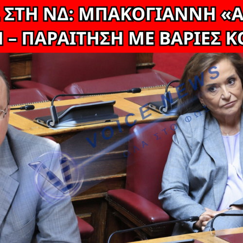 ΠΤΥΧΙΟ-ΜΑΪΜΟΥ, ΑΛΑΖΟΝΕΙΑ ΚΑΙ Η ΝΤΟΡΑ ΠΟΥ ΤΟΥ ΔΕΙΧΝΕΙ ΤΗΝ ΠΟΡΤΑ