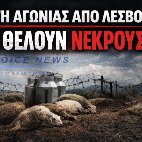 ΚΡΑΥΓΗ ΑΓΩΝΙΑΣ ΑΠΟ ΛΕΣΒΟ: «ΜΑΣ ΘΕΛΟΥΝ ΝΕΚΡΟΥΣ»!