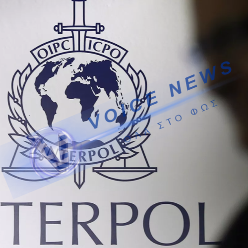 ΜΑΚΑΒΡΙΟ ΕΥΡΗΜΑ ΣΤΗΝ ΚΑΡΑΪΒΙΚΗ: Η φρίκη που ξεπερνά κάθε φαντασία – Βρέφη σε χαρτόκουτα και ομαδικοί τάφοι!
