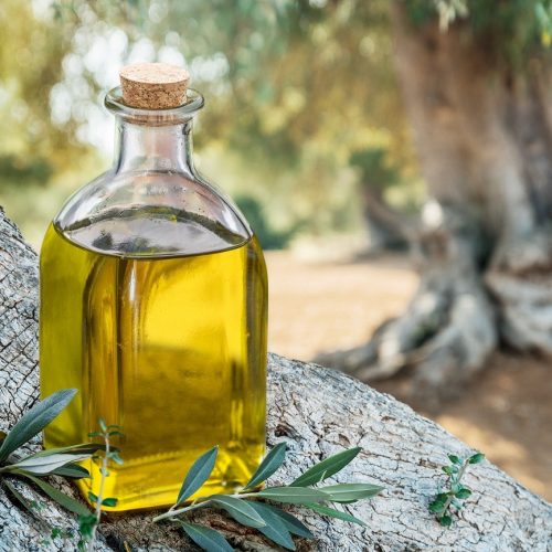 Eλαιόλαδο: Τα πανίσχυρα οφέλη του για τον εγκέφαλο – Από ποιες παθήσεις προστατεύει
