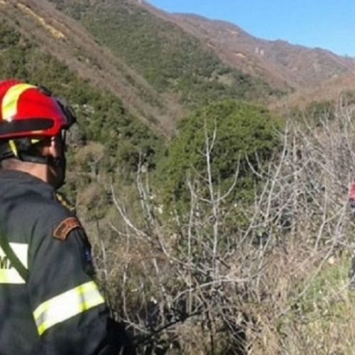 EKTAKTO: Φωτιά στο Ωραιόκαστρο Θεσσαλονίκης (ΑΠΟΚΛΕΙΣΤΙΚΗ ΦΩΤΟ)