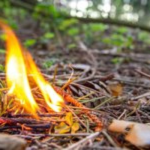 Παιδιά κάτω των 15 ετών πίσω από πυρκαγιές στην Εύβοια