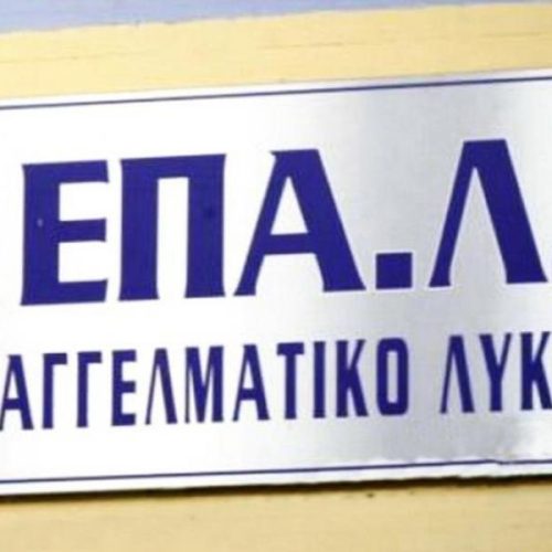 Καθυστέρηση στις εγγραφές ΕΠΑΛ – Αναστολή τμημάτων και αβεβαιότητα για μαθητές και εκπαιδευτικούς