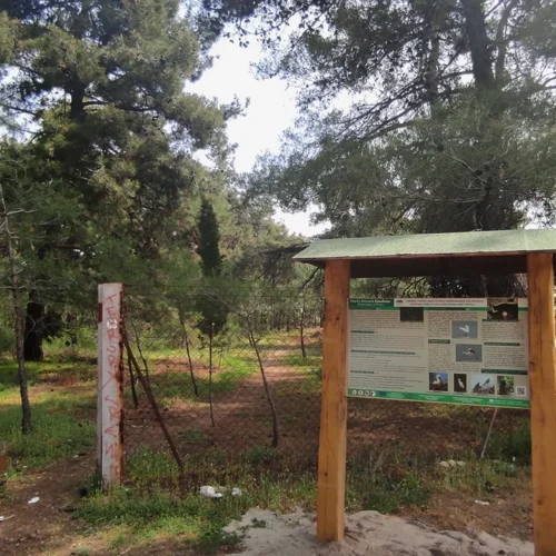 Έσπασε κούνια και τραυμάτισε παιδί – Ποιος θα αναλάβει την ευθύνη;