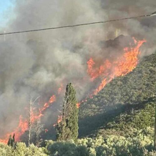 ΔΑΣΙΚΗ «ΕΚΤΑΣΗ» ΚΑΤΑΚΑΙΕΙ η ΦΩΤΙΑ στην Εύβοια – «Μήνυμα» του 112