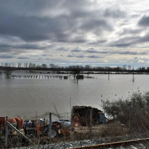 Κρίσιμη η κατάσταση στον Δήμο Διδυμοτείχου: Ο ποταμός Έβρος απειλεί σπίτια και υποδομές