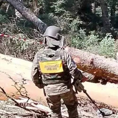Συναγερμός στο δάσος: Εξουδετερώθηκε οξειδωμένη χειροβομβίδα τύπου Mills από τον στρατό