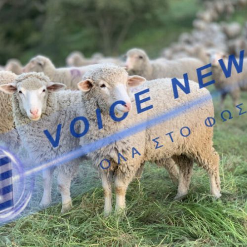 Η Κομισιον “αδειάζει’ το υπουργείο Ανάπτυξης ( Βίντεο)