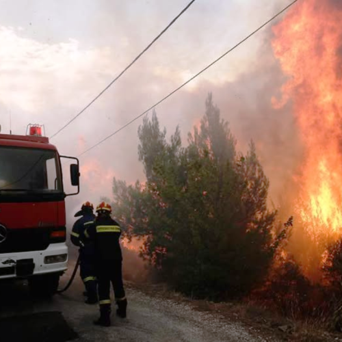 Σε πύρινο κλοιό η χώρα: 60 αγροτοδασικές πυρκαγιές σε ένα 24ωρο