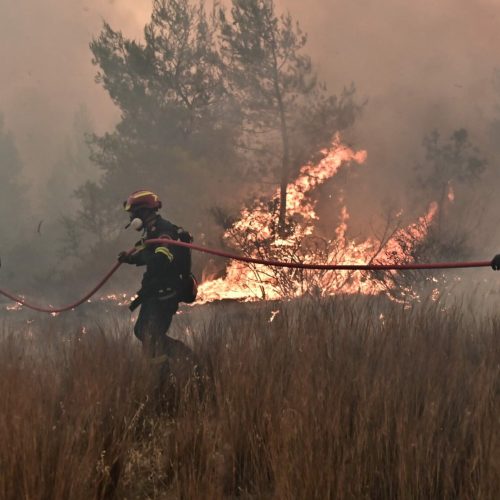 Συναγερμός στην Πυροσβεστική – Διαδοχικές εστίες φωτιάς στη Λαμία