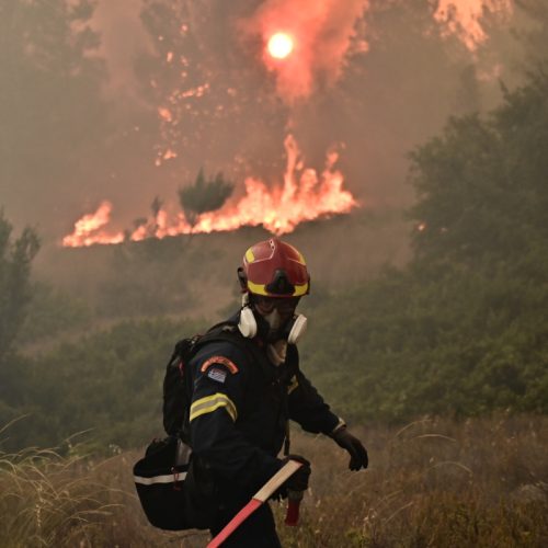 Συναγερμός για την πρόωρη έναρξη των πυρκαγιών: Έκκληση για εγρήγορση ενόψει της αντιπυρικής περιόδου