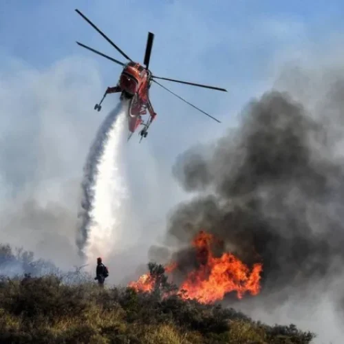 Φωτιά σε δασική έκταση στη Λευκάδα