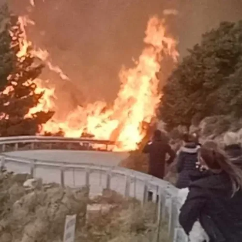 Λευκάδα: Φωτιά σε δάσος στον Άγιο Νικήτα – Σηκώθηκε ελικόπτερο