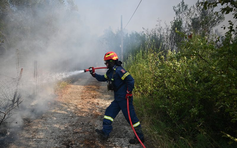 Φωτιά τώρα και στην Αγορά Δράμας