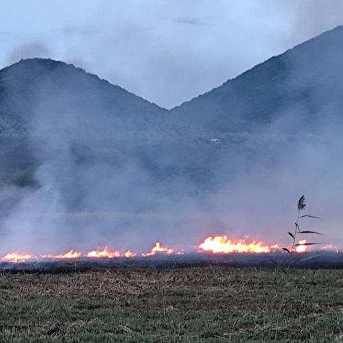 Δύο φωτιές σε περιοχές της Αιτωλοακαρνανίας