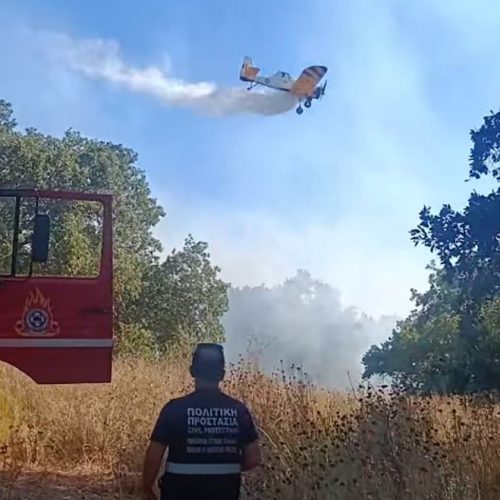 Φωτιά κοντά σε αρχαιολογικό χώρο στο Μεσολόγγι – Επιχειρούν ισχυρές πυροσβεστικές δυνάμεις