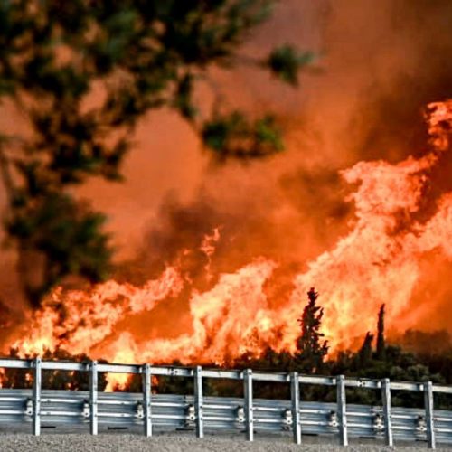 Σε αυλές σπιτιών η φωτιά στην Αχαΐα – Ανοιχτά σχολεία για τους πυρόπληκτους