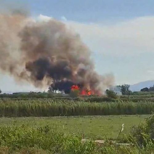 «Συναγερμός» για πυρκαγιά στο Αριοχώρι Καλαμάτας