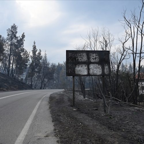 Χαλκιδική: 3.500 στρέμματα έγιναν στάχτη στη Σίβηρη