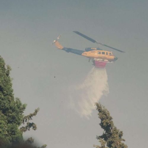 «ΦΩΤΙΑ» στην Παλαιοκερασιά Φθιώτιδας – Επιχειρούν και εναέρια μέσα!