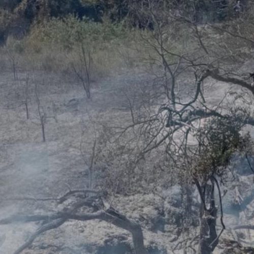 Εύβοια: Στο αυτόφωρο 56χρονος για τη φωτιά στην Πλατάνα – Πώς ξέφυγαν οι φλόγες