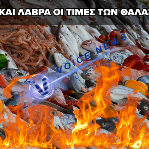 ΑΠΛΗΣΙΑΣΤΕΣ ΟΙ ΤΙΜΕΣ ΣΤΑ ΘΑΛΑΣΣΙΝΑ – ΠΡΟΪΟΝ ΠΟΛΥΤΕΛΕΙΑΣ ΤΟ ΣΑΡΑΚΟΣΤΙΑΝΟ ΤΡΑΠΕΖΙ