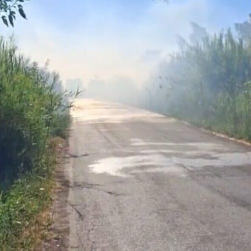 Πύρινος συναγερμός στην Καλαμάτα – Η φωτιά απειλεί το αεροδρόμιο! [ΦΩΤΟ]