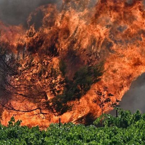 30 πυροσβέστες πολεμούν τις φλόγες στη Σάμο